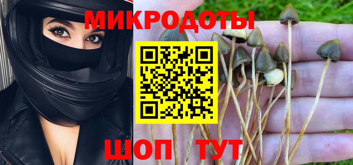 Псилоцибиновые грибы мухоморы Долгопрудный