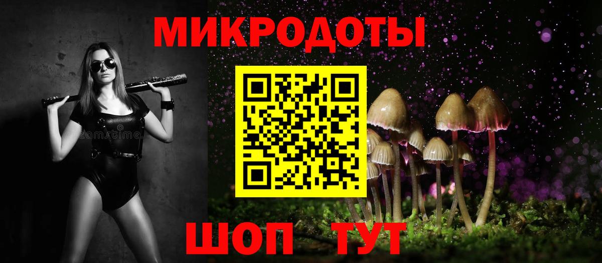 купить закладку  Вход с VPN  Псилоцибиновые грибы Psilocybine cubensis  Долгопрудный  Псилоцибиновые грибы Psilocybe 