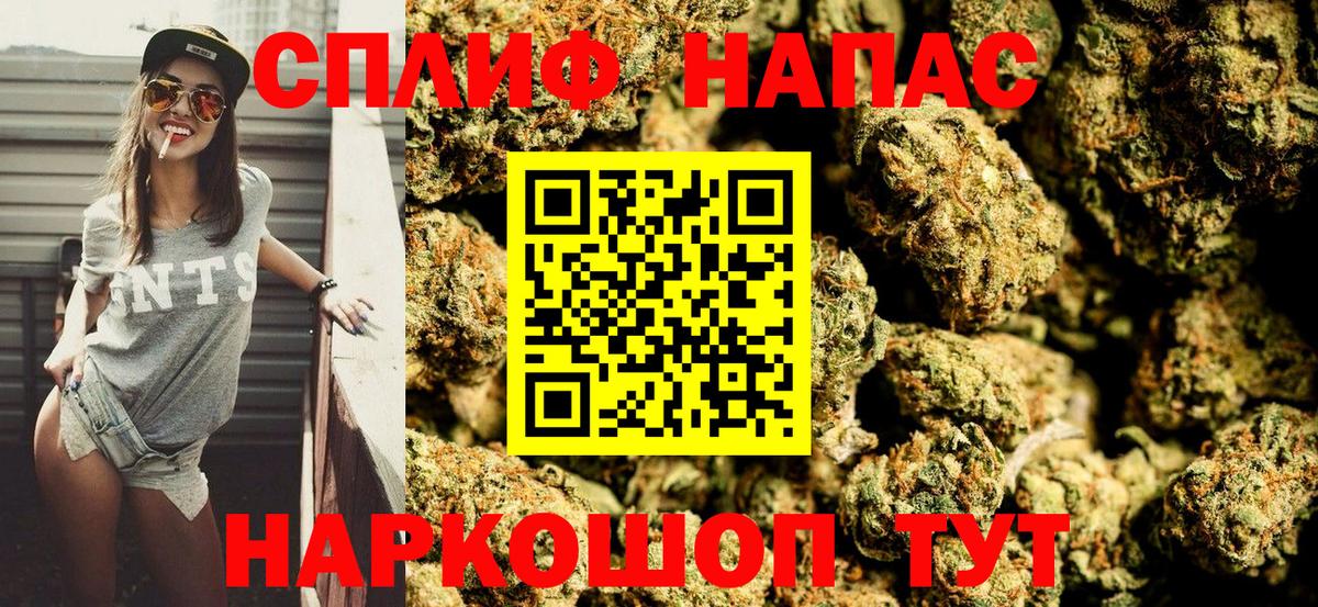 Бошки Шишки MAZAR Долгопрудный